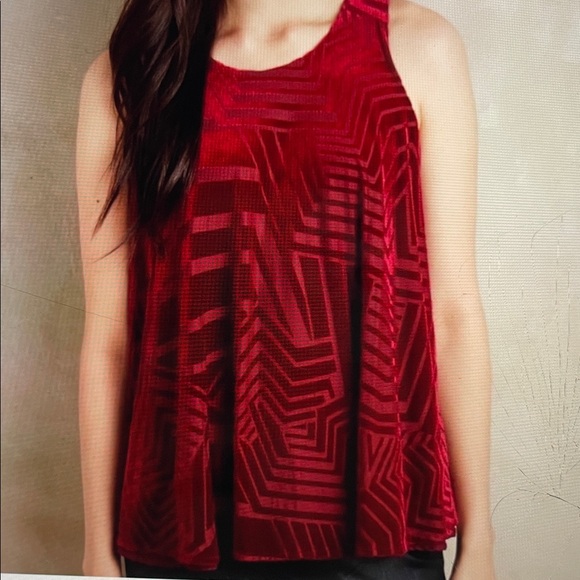 Anthropologie SUNDAY in BROOKLYN Tank Top Sz M Red Velvet Sleeveless Labrynth. - Picture 5 of 5